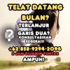 Picture of Obat Penggugur Kandungan 0858-9294-2094 Aborsi Cytotec