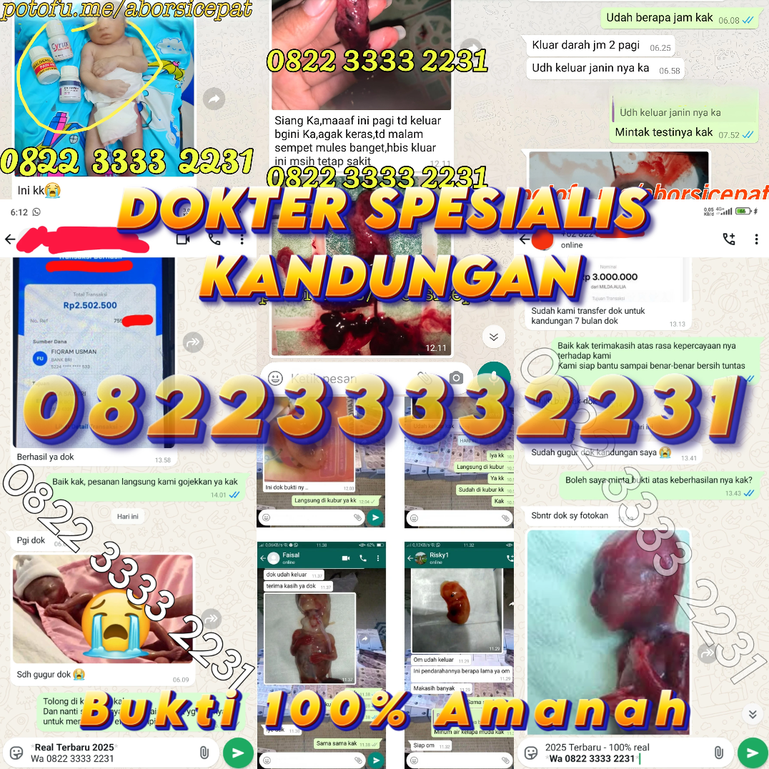 WA 082233332231