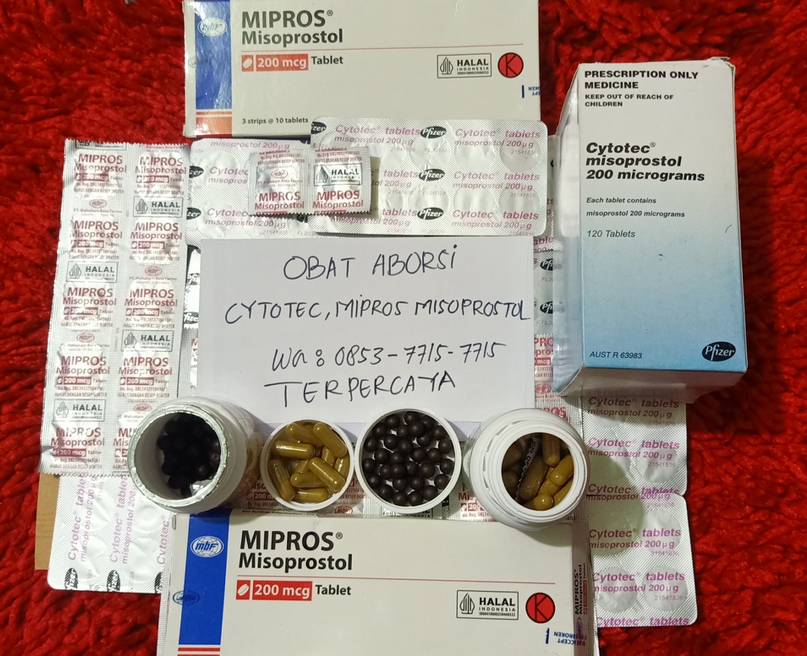 Attachment Obat Peggugur Kandungan.jpg
