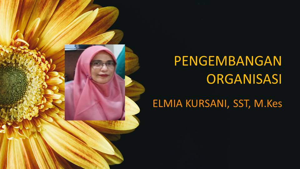 PENGEMBANGAN ORGANISASI/ /PKIP/B.REG. B NON/ ELMIA KURSANI