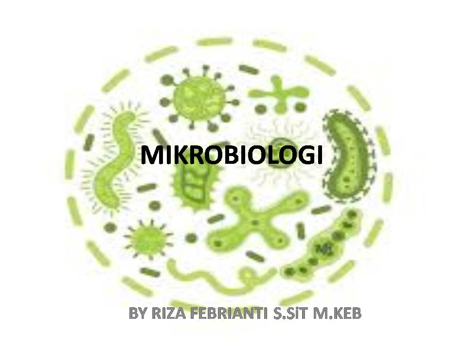 Mikrobiologi Riza Febrianti S.SiT M.Keb